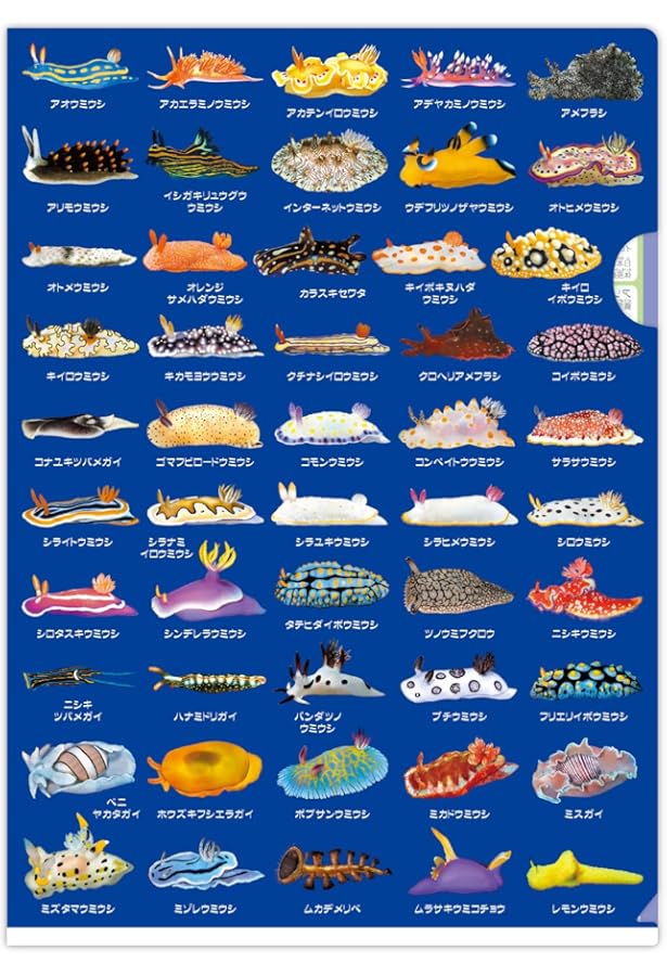 Amazon.co.jp: ウミウシ: 生きている海の妖精 (ネイチャーウォッチング